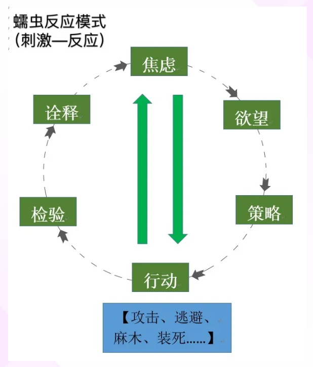 蠕虫反应模式