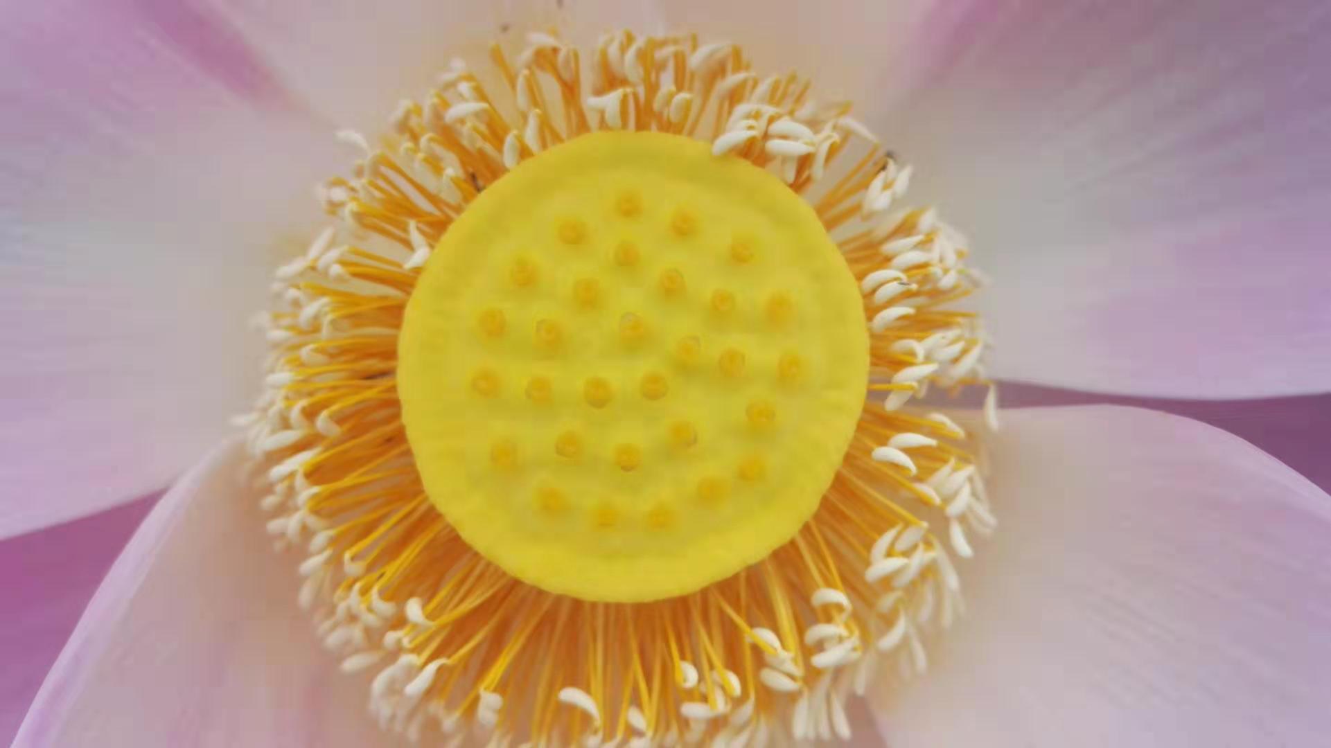 深圳心理咨询