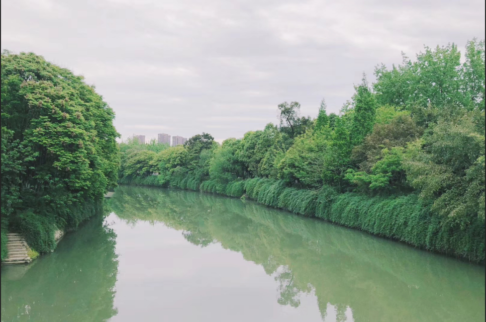 深圳心理咨询专家释梦