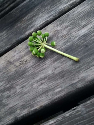 深圳心海湾第十五期周六公益沙龙：走出焦虑，让心回家