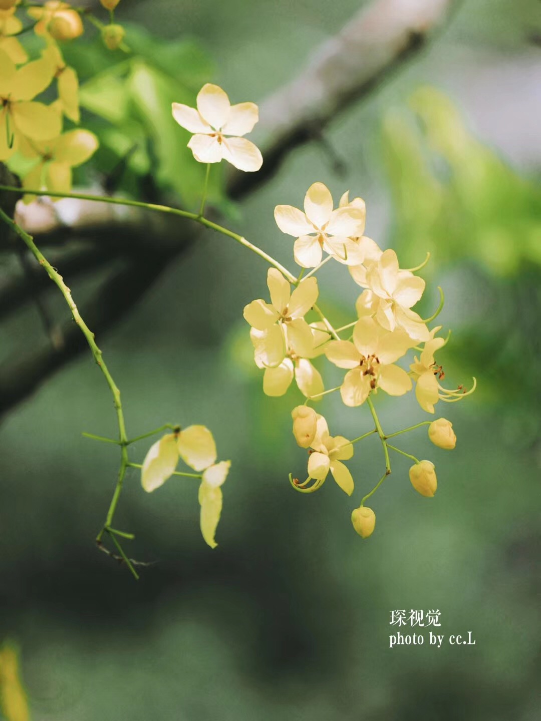 刻意求之而不得，是什么原因？