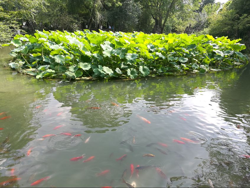 黄金级意象对话心理师何明华：女性身体的心理秘密