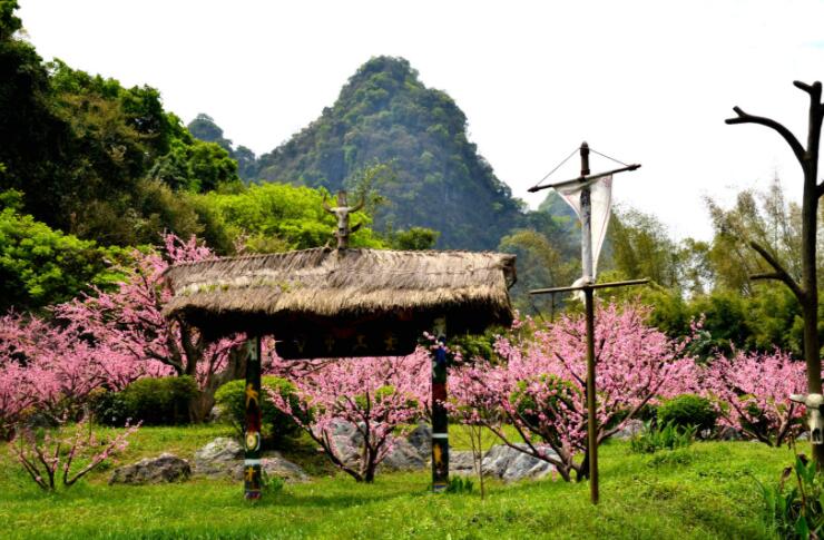 深圳心理专家释梦：总是梦到世外桃源的梦