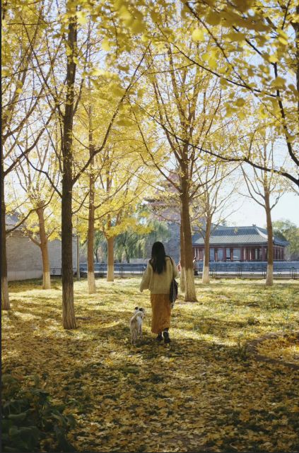 深圳心理咨询:关于自我——我活成了大家喜欢的样子,为什么还是不开心?