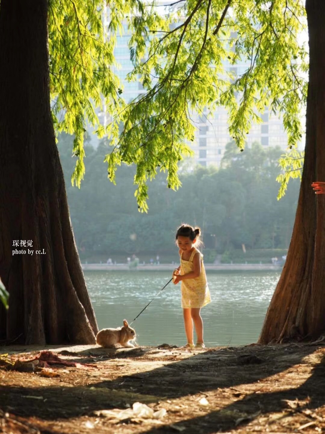 心理科普知识：沙盘为什么能治愈你的孩子？