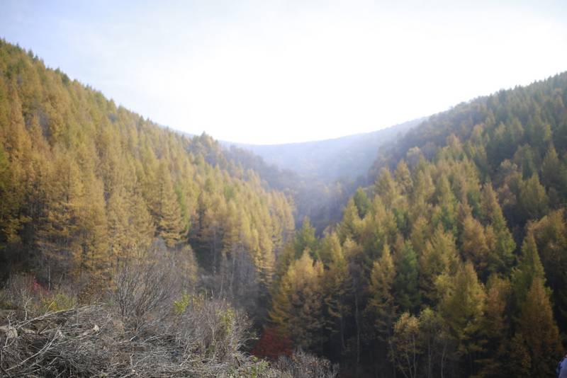 深圳心理咨询专家释梦：梦中想到达一个地方，但始终达到不了