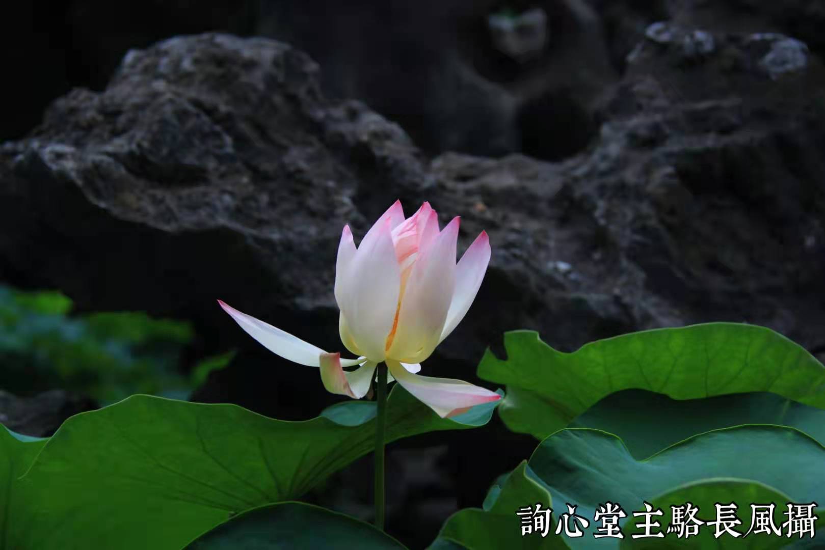 心理咨询专家朱建军：什么是“优越感赛跑”？