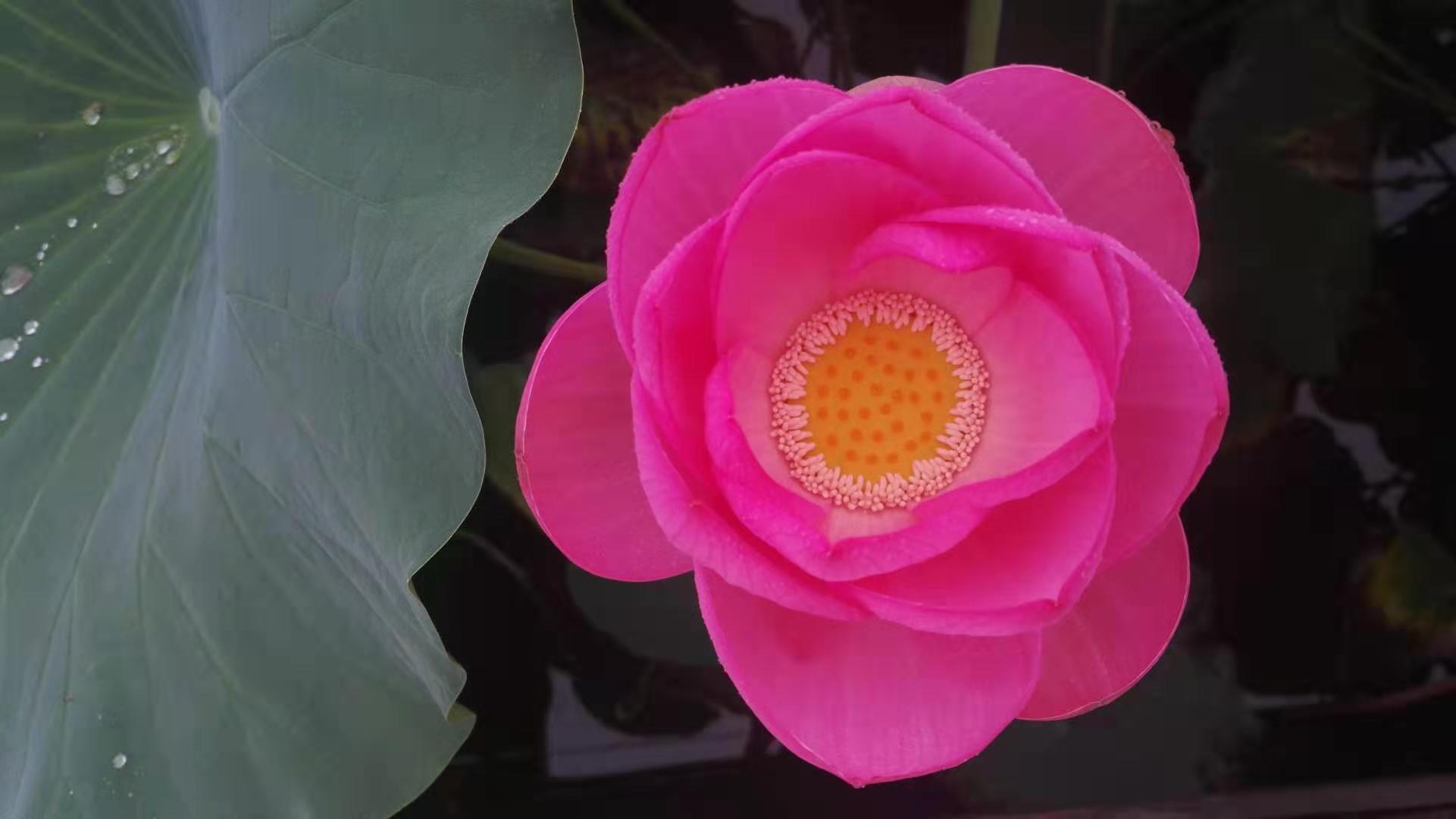 心理专家朱建军：那些影响情绪的低音