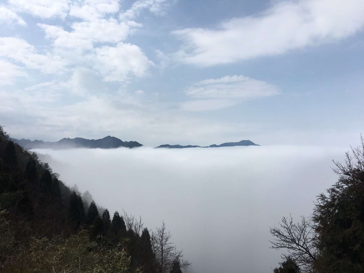心理咨询专家朱建军：是你在做主？还是你的情绪在做主？