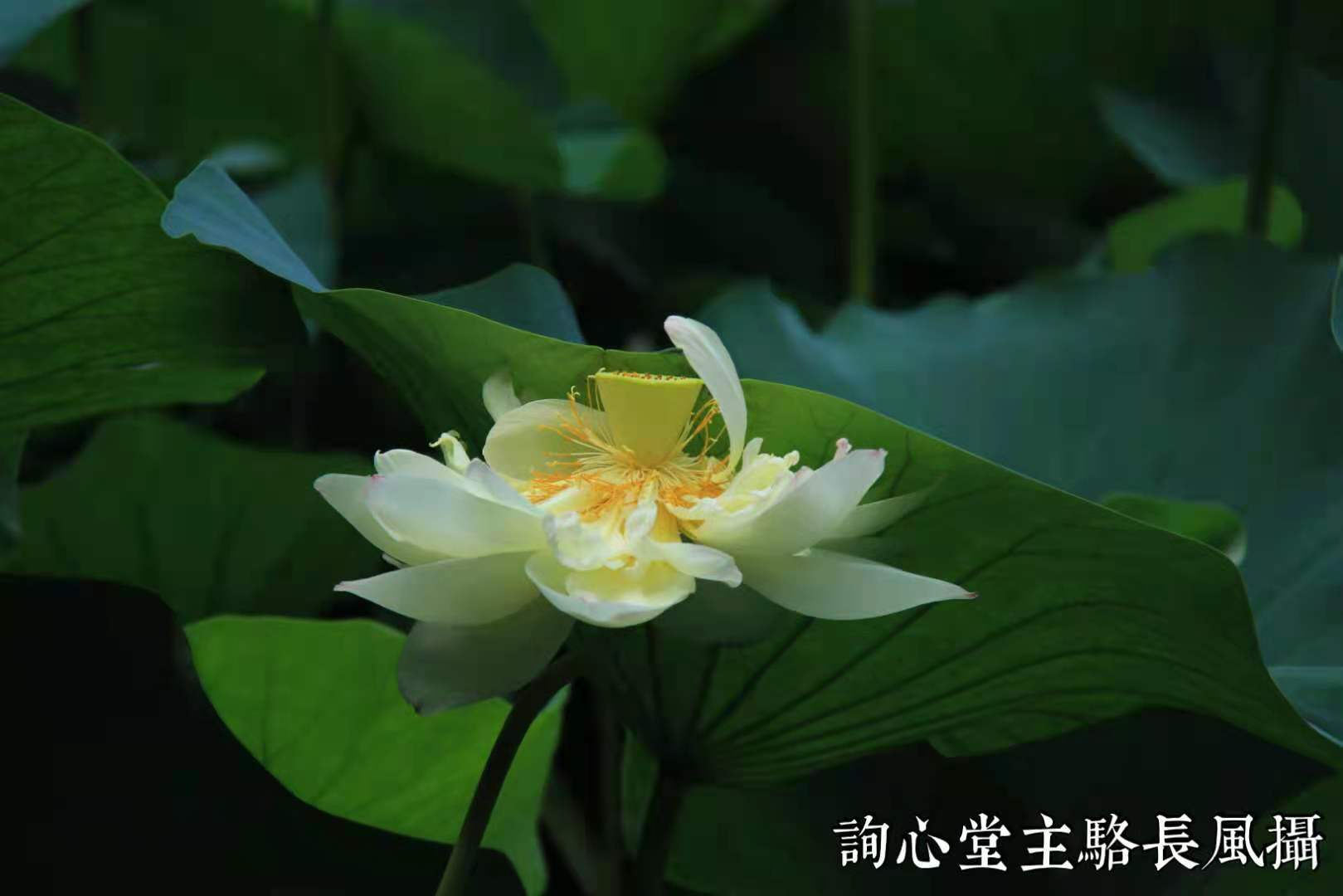心理专家朱建军：如何更好地利用人的基本学习能力？