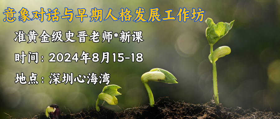 2024年8月深圳心海湾 史晋老师《意象对话与早期人格发展》