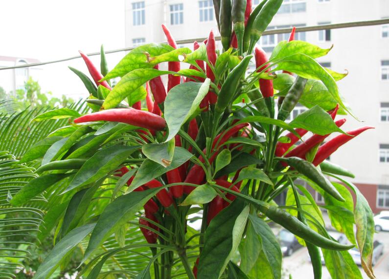 意象对话过程中，突然睁开眼睛，这样好吗？