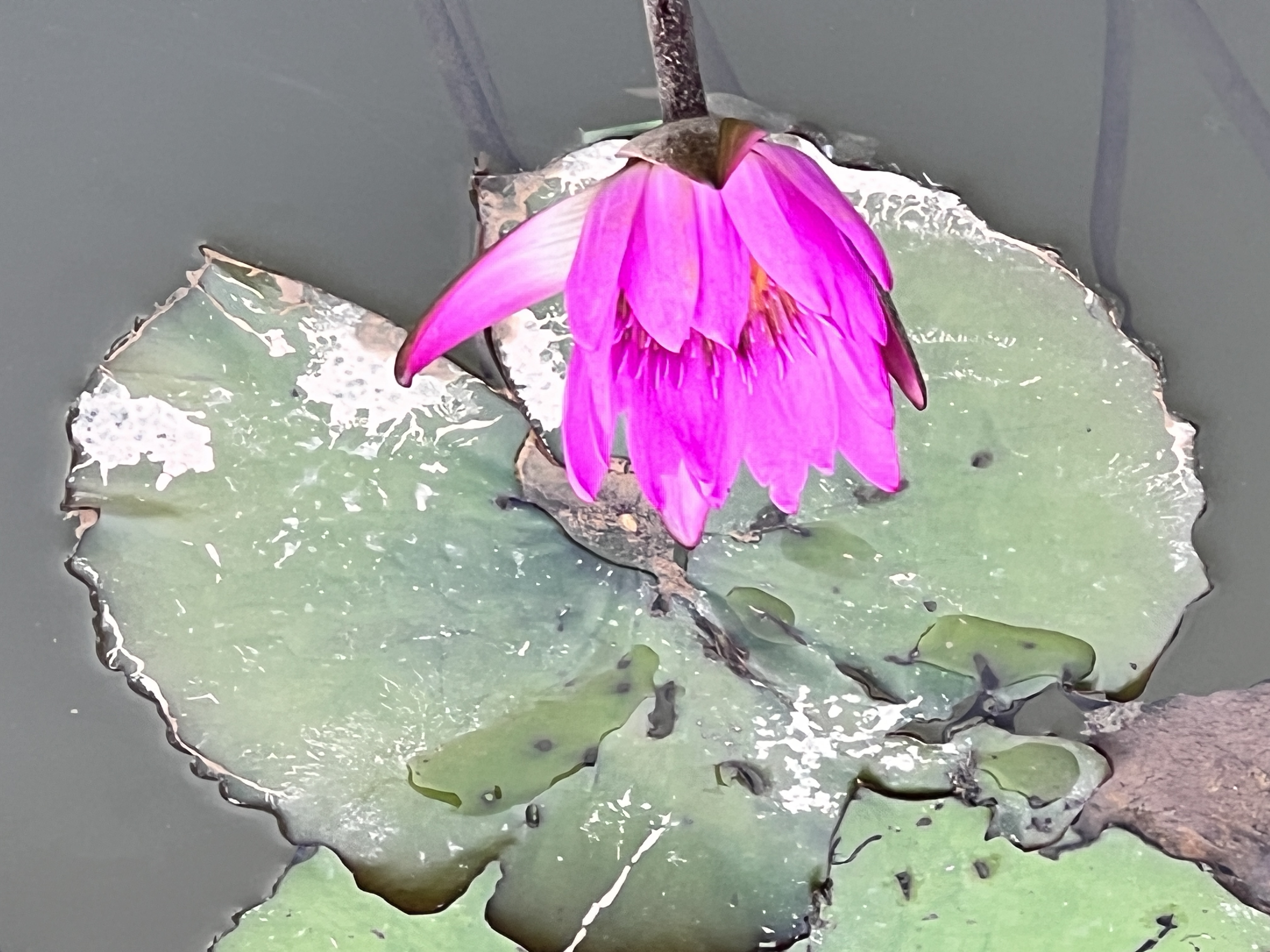 自我练习意象对话时，如何确保安全？