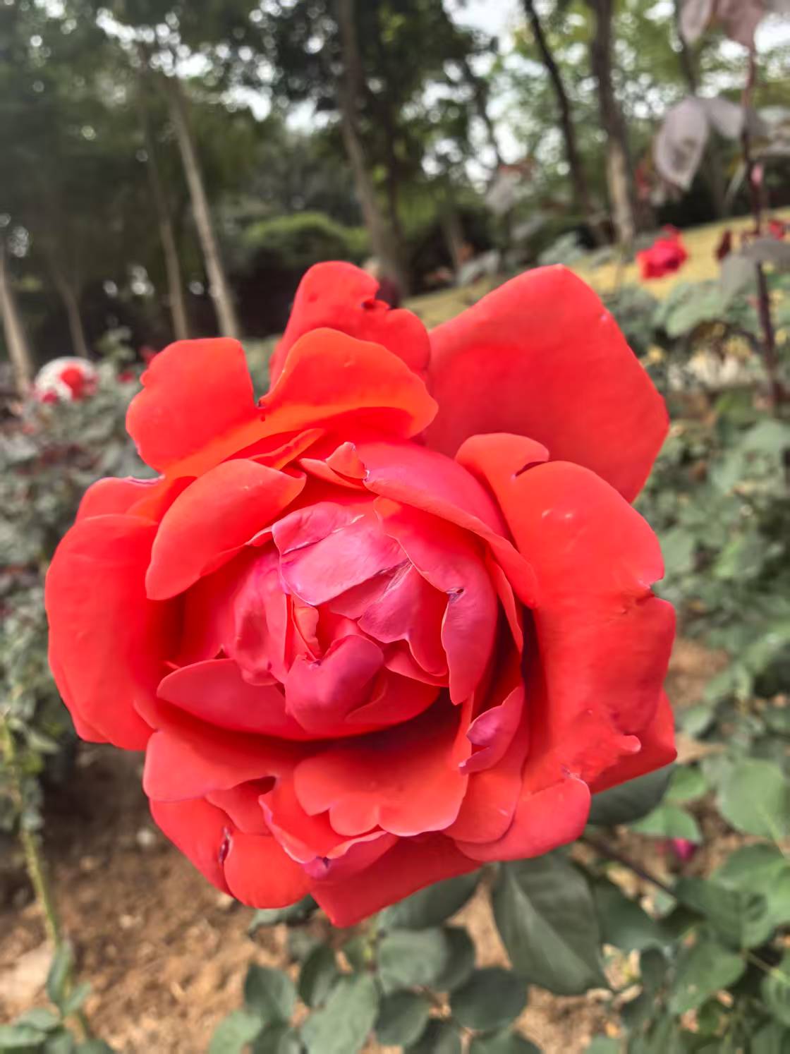 为什么要和脑子里的意象说话？这不是自己编故事吗？