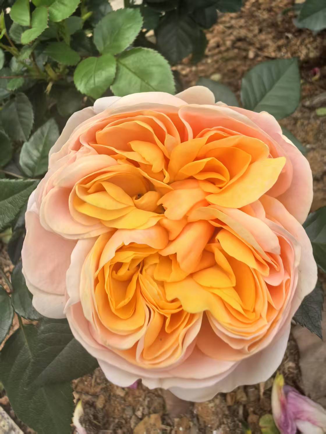 意象中的色彩、空间等元素有何心理学意义？