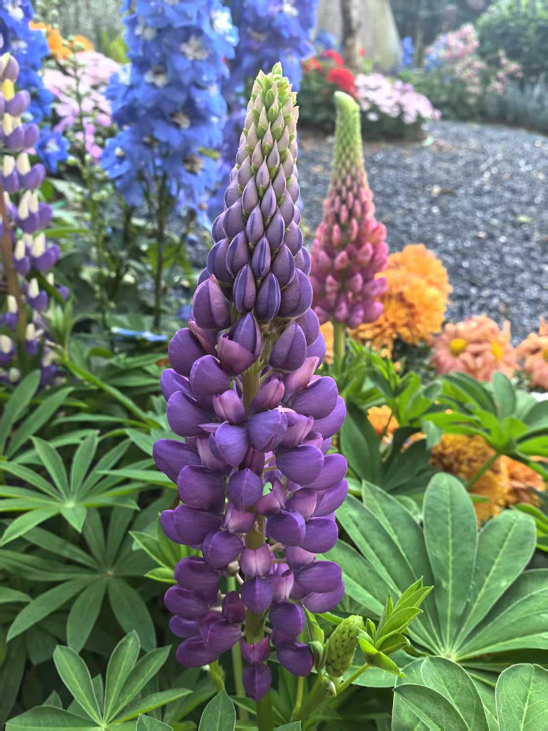 意象对话如何解释“子人格”概念？