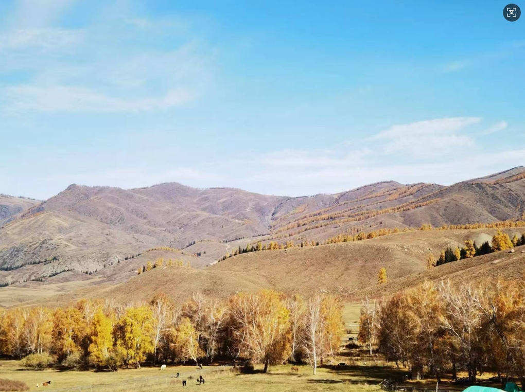 意象对话心理疗法的核心理论是什么？