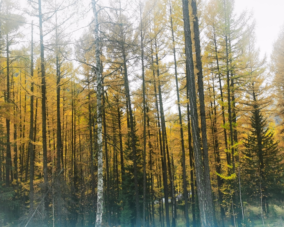 意象为什么不能想变成啥就变成啥？