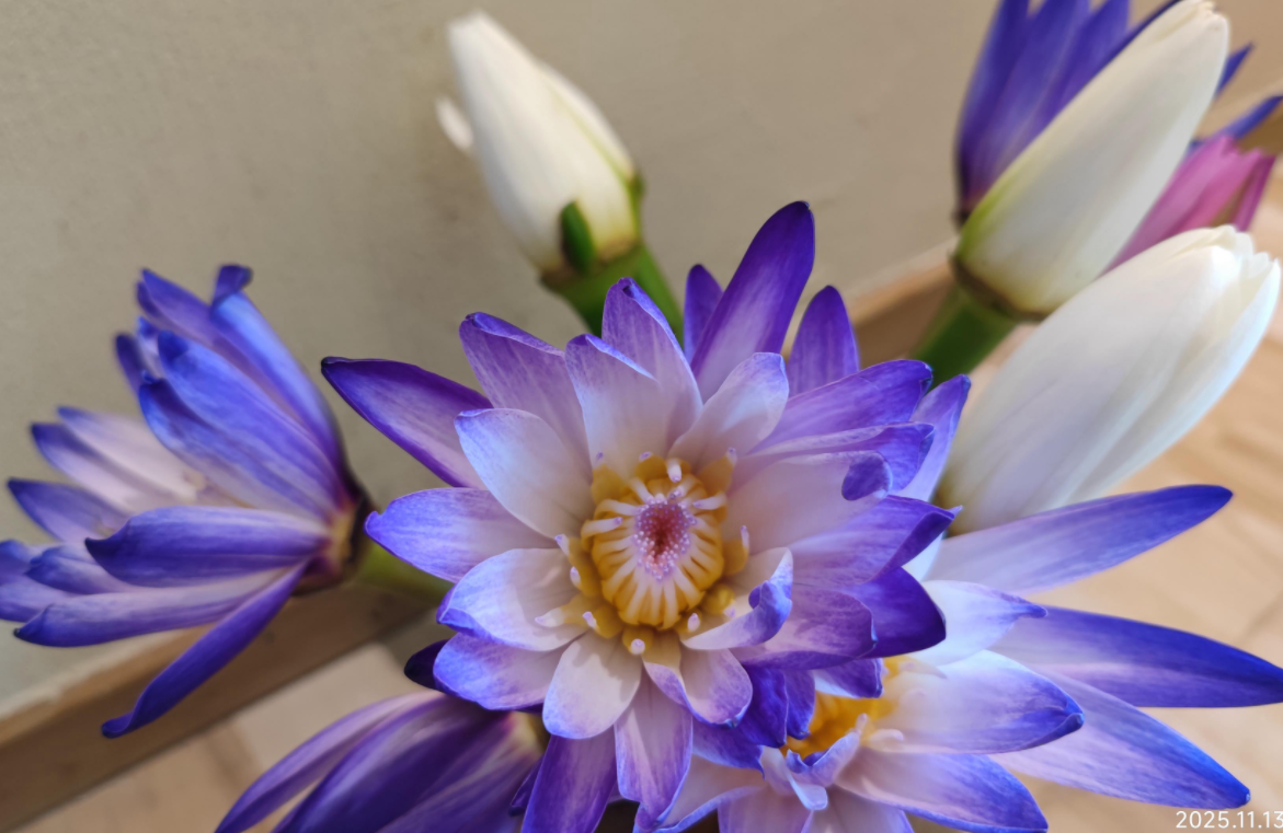 相比沙盘游戏，意象对话的优势在哪里？