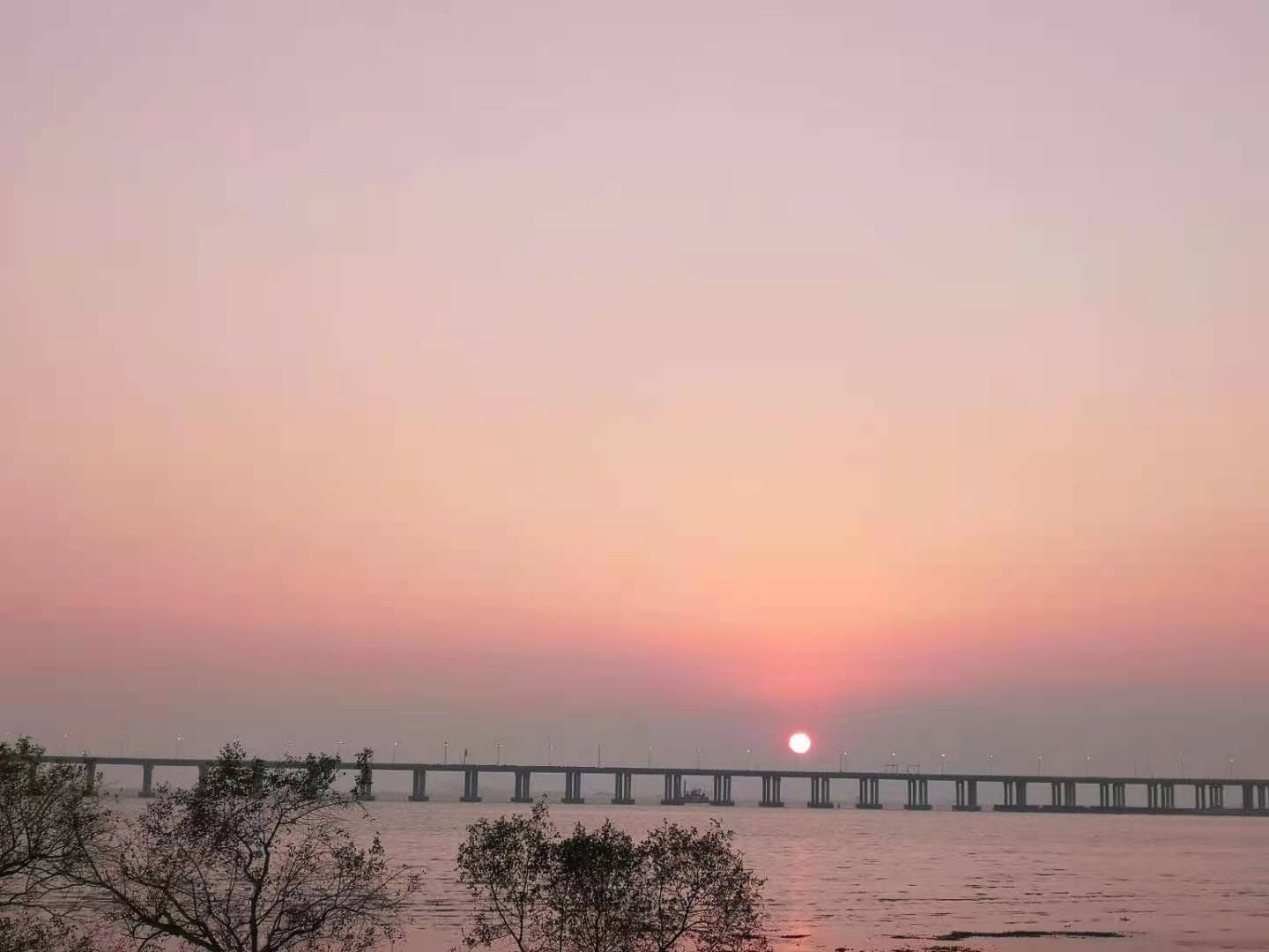 与正念冥想相比，意象对话的特点是什么？